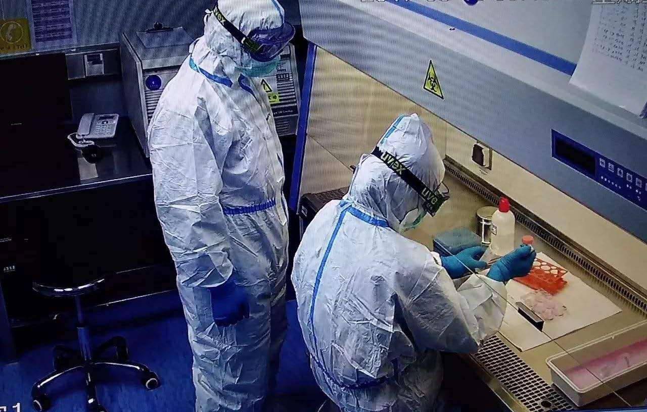 内蒙古实验室系统工程案例